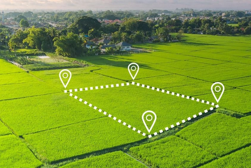 Plots and Land